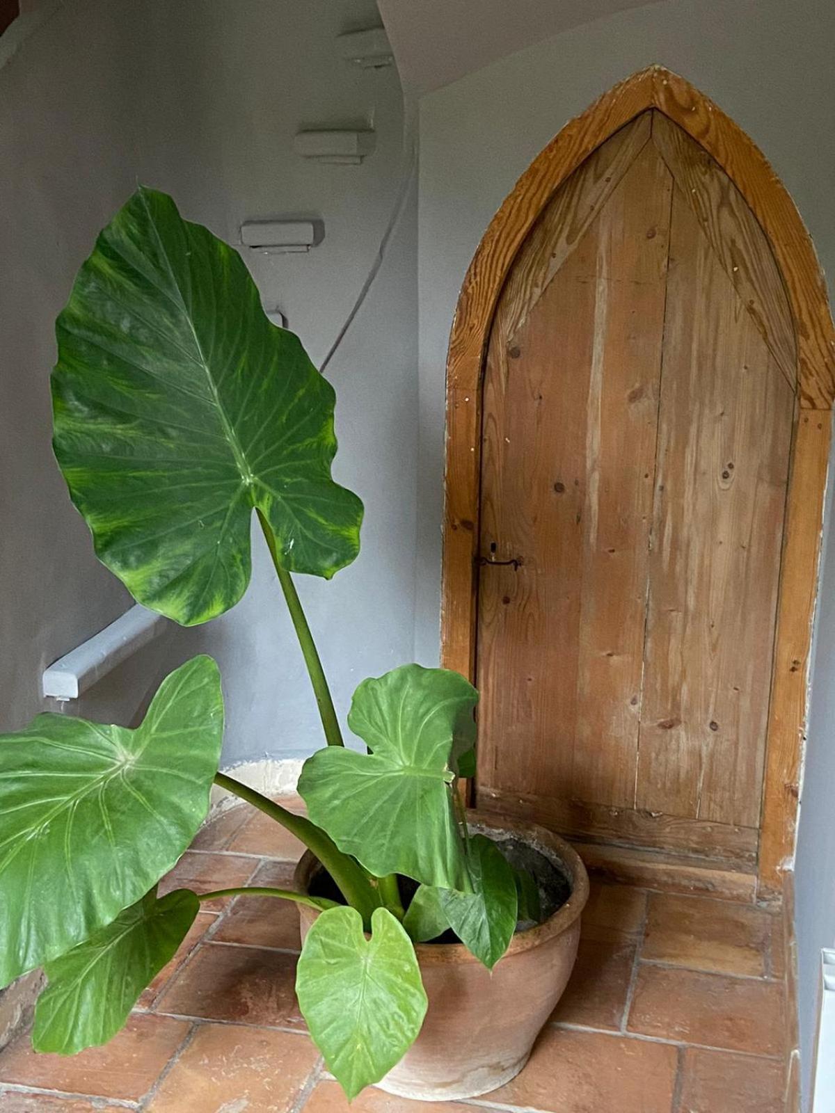 Mas Carita Bed & Breakfast Cabannes Dış mekan fotoğraf